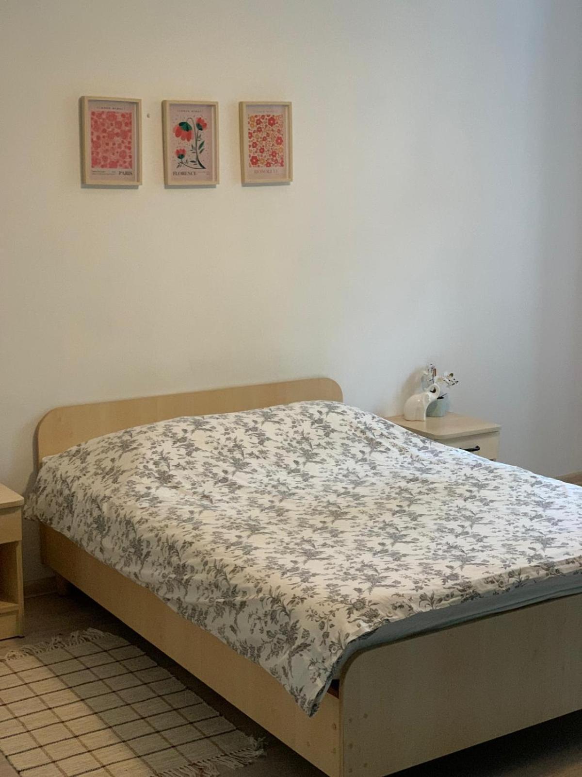 Bright And Spacious Apartment Szczecin Luaran gambar